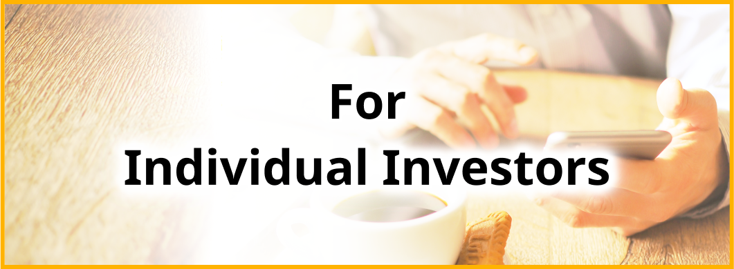 For Individual Investors